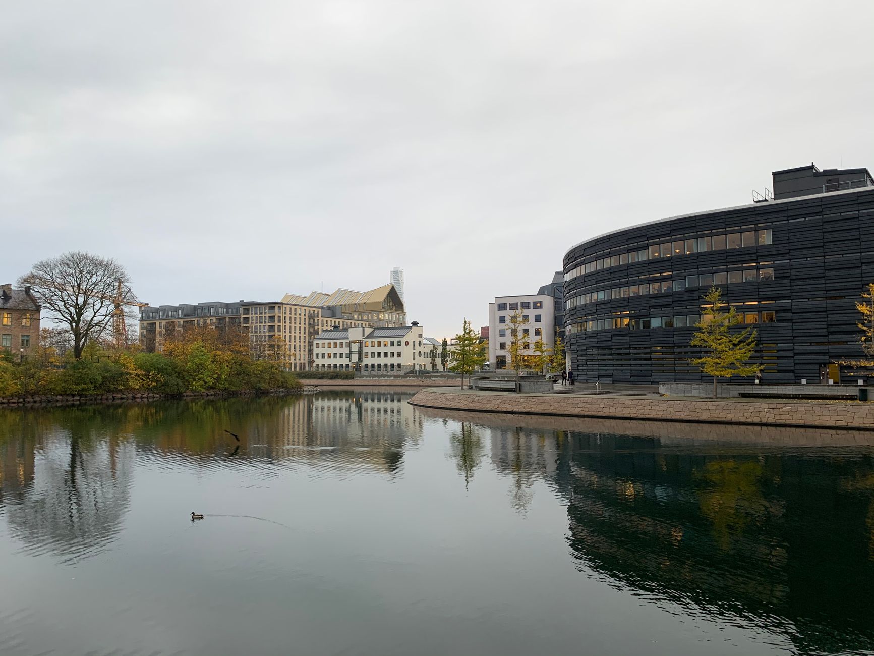 Möblerad lägenhet i Malmö för företag – så fungerar det med Rentaborg