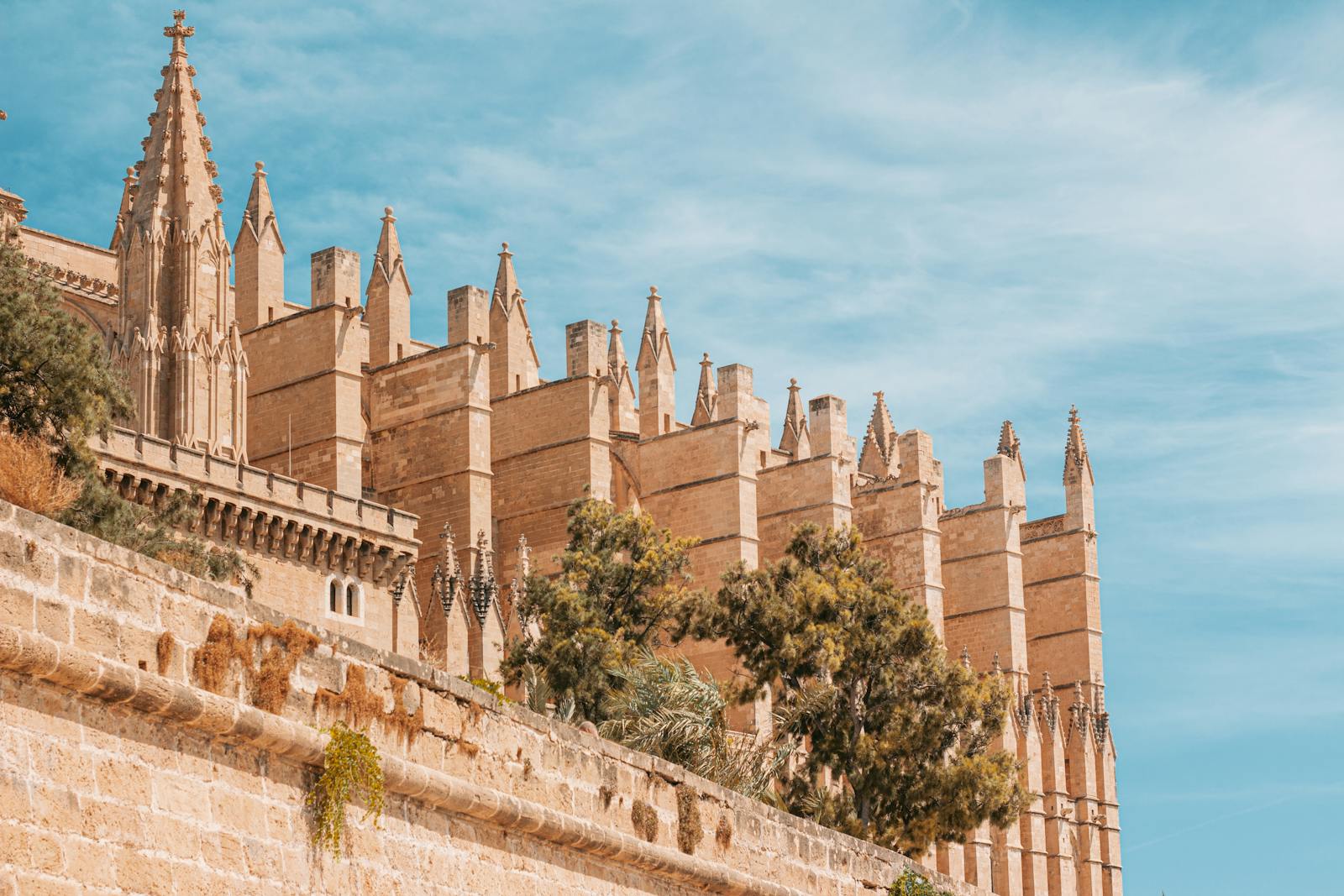 Palma