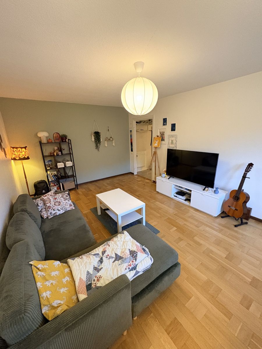 1-Bedroom Premium Corporate Housing in Örebro — photo 1